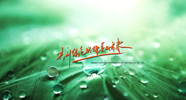 Jiangsu Xusheng Environmental Technology Co., Ltd.